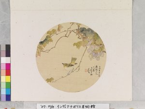 Madár a szőlő ágon alkotó: School Chinese