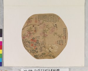 Virágok és pillangó alkotó: School Chinese