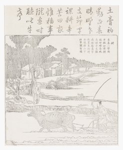 Szántás vízibivallyal sáros rizsben hántolatlan. alkotó: School Chinese