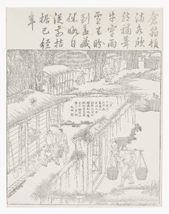 A rizs tárolása alkotó: School Chinese