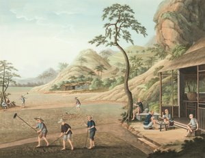 Teakészítés, 1820 körül (testfesték és aranyfesték selyemre, papírra fektetve) alkotó: School Chinese