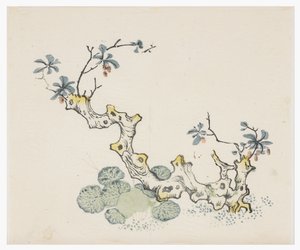 Tíz bambusz sorozat alkotó: School Chinese