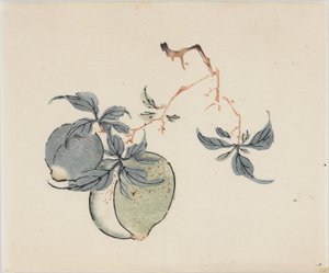 Ten Bambusz sorozat alkotó: School Chinese