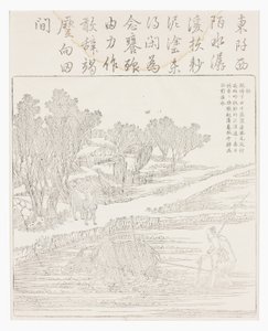 Rizsföld termesztése száraz időben alkotó: School Chinese