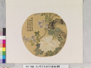 Fehér bazsarózsa Yun Shouping után alkotó: School Chinese
