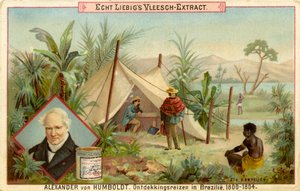 Alexander von Humboldt felfedező expedíciója, Liebig-kártya (nyomtatás)