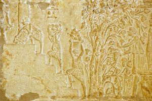 Ókori Egyiptom, falfestmény, Petosiris sírja, Tuna el Gebel, Kr. e. 300, Szőlőszedés a borsajtóhoz (fotó) alkotó: School Egyptian