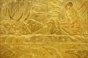 Ókori Egyiptom, Falfestmény, Mastaba/Tomb of Idout, Szakkara, 6. dinasztia, Szarvasmarha átkelés egy folyón, Férfi segít át egy borjút a folyón, Anya nézi (fotó). alkotó: School Egyptian