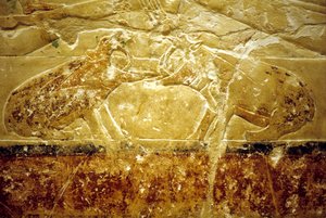 Ókori Egyiptom, Falfestmény, Mastaba/Tomb of Idout, Szakkara, 6. dinasztia, Két víziló harcol (fotó) alkotó: School Egyptian