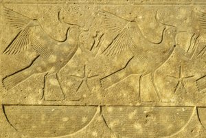 Ókori Egyiptom, falfestmény/faragás, Lapwings, Egyiptom különböző törzseinek ábrázolása, Karnaki templom, Luxor (fotó) alkotó: School Egyptian