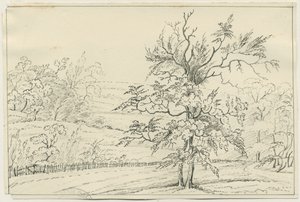 Cannock Chase: toll- és ceruzarajz, nd [?19. század] (rajz) alkotó: School English