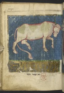 Adja hozzá az MS 11639 f.519t egy bikát, egy bibliai és egyéb szövegek vegyes könyvéből ("The Northern French Miscellany" vagy korábbi "The British Museum Miscellany"y alkotó: School French