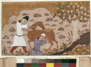 Onager Milking, 15. század vége (akvarell, gouache, fehér szín, tinta papíron) alkotó: School Iranian