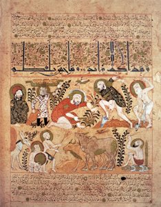Illusztráció a „Kitab al-Diryaq” ellenszerek könyvéből, Pseudo-Gallen (vellum)