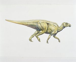 Hadrosaurus vagy kacsacsőrű dinoszaurusz (színes litho) alkotó: School Italian