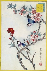 Madarak egy virágzó fán - japán nyomtatás alkotó: Japanese School
