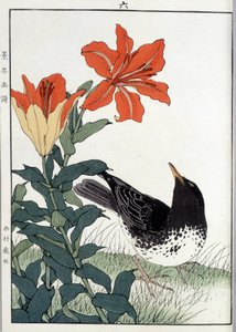 Feketerigó és liliom virágok - japán nyomtatás alkotó: Japanese School