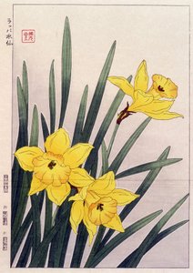 Bezárás Nárciszok - japán nyomat alkotó: Japanese School
