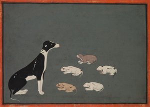 Kutya kölykökkel, 1780 körül (tinta és fedőakvarell, papír) alkotó: School Mughal