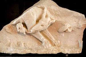 Farkaslány és az ikrek, Romulus és Remus, 2. század (szobor) alkotó: School Roman