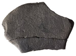 Túszkő, a kora középkori szigeti kolostorból, Inchmarnock, Bute, Skócia, Kr. u. 8-9. század (pala) alkotó: Scottish School