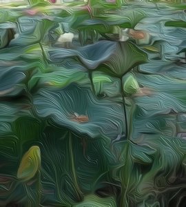 Liliom tó 1 alkotó: Scott J. Davis