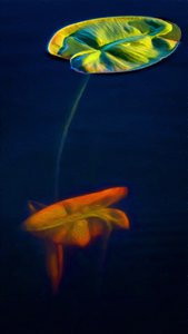 T_Lily3 alkotó: Scott J. Davis