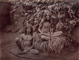 Ceylon védái