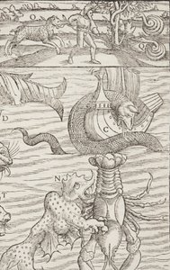 Cosmographia, Fol 853, 1544