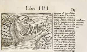 Az embereket felfaló szörnyű bálnák Sebastian Munster Cosmographiájának 1550-es kiadásából (fametszet) alkotó: Sebastian Munster