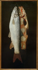 Halcsendélet alkotó: Sebastian Stosskopf