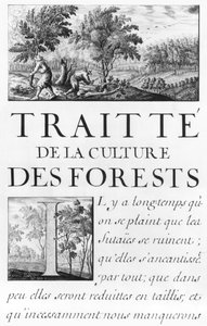 Ms 260 IV. tome. A „Traite de la Culture des Forets” frontispiece a „M. Vauban Oisivetes” című művéből, amely több memoires ou Ramas de sa way-t tartalmaz.