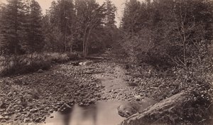 Marion River Bassett táborában