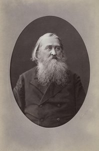 Alekszej Nyikolajevics Pleshcheev költő portréja 1825-1893, 1870