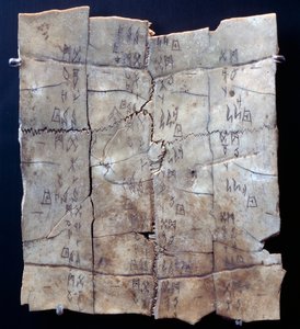Piktogram a teknős plasztronon jósló szöveggel (teknős plastron)