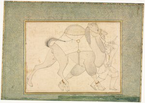 Teve és vőlegény, Egyoldalas illusztráció, c. 1545-1576. alkotó: Shaykh Muhammad