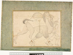 Teve és vőlegény, 1545-76 körül alkotó: Shaykh Muhammad