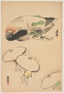  alkotó: Shibata Zeshin