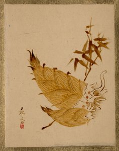  alkotó: Shibata Zeshin