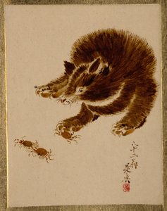  alkotó: Shibata Zeshin