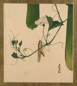  alkotó: Shibata Zeshin
