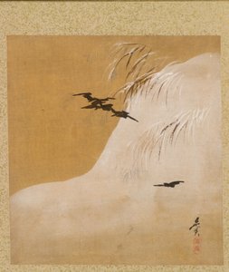 Levél a szezonális témák albumáról: New Ferns, 1847. alkotó: Shibata Zeshin