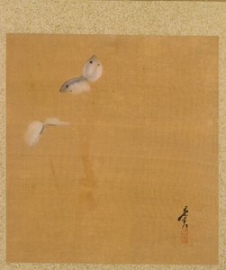 Molyok a tiszteletreméltó Zeshin festményeiből alkotó: Shibata Zeshin