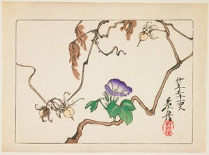  alkotó: Shibata Zeshin
