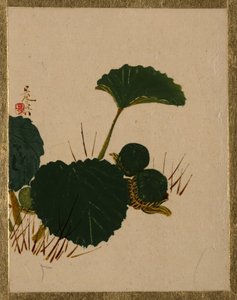 Féreg a zöld levelű növényen. alkotó: Shibata Zeshin