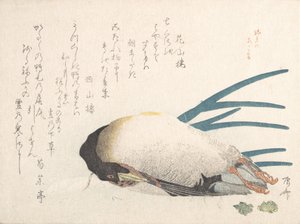 Tavaszi esőkollekció Harusame shu, vol. 1: Kacsa és mogyoróhagyma, 1810-es évek, 1810-es évek. alkotó: Shinsai