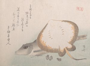 Stingray és Gurnard, valószínűleg 1815., valószínűleg 1815. alkotó: Shinsai