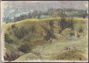 Táj bokrokkal, Olaszország, c1950. alkotó: Shirley Markham