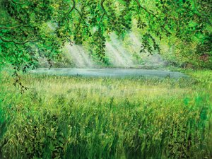 Természetes esernyő alkotó: Silvian Sternhagel