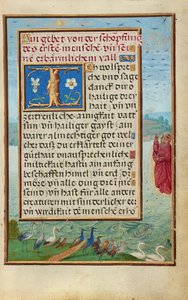 Bordüre mit der Erschaffung von Vögeln und Fischen alkotó: Simon Bening